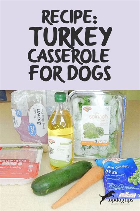 recipe-turkey-casserole-for-dogs-top-dog-tips image