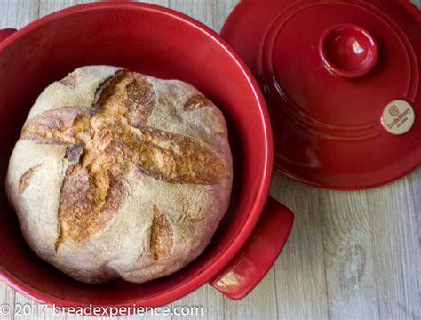 easy-dutch-oven-pain-de-campagne-bread-experience image