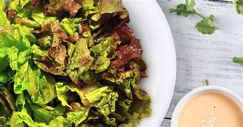 10-best-red-leaf-lettuce-salad image