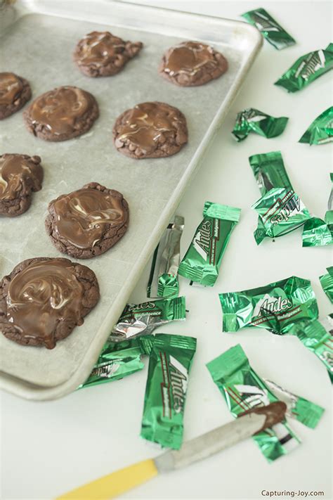 andes-mint-cookies-only-5-ingredients-kristen-duke image