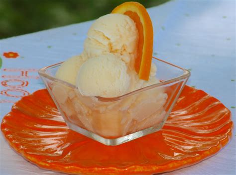 sunshine-sherbet-orange-creamsicle-happy-belly image