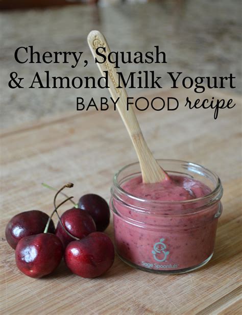 50-baby-food-recipes-made-fresh-for-your-little-one image