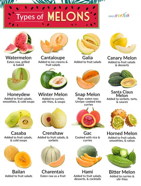 16-different-types-of-melon-and-what-you-can-do-with image
