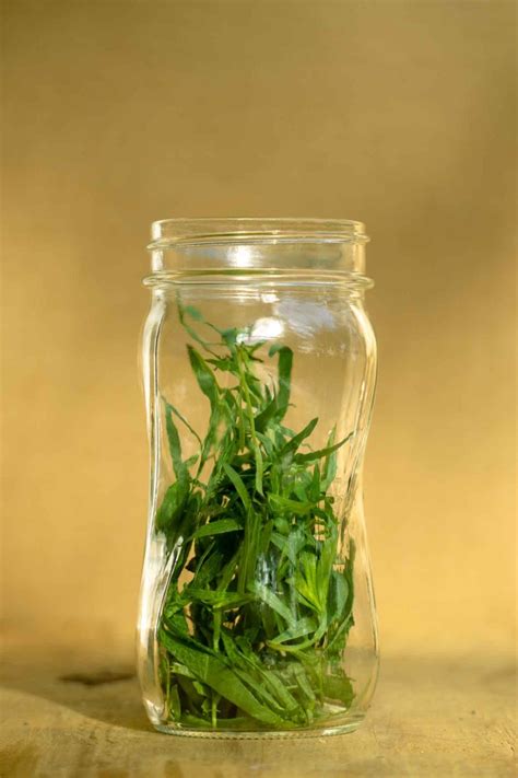 diy-tarragon-vinegar-tarragon-infused-pickles-pith image