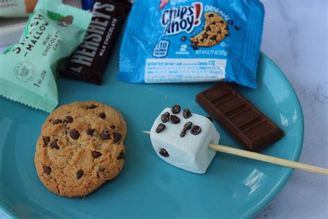 crafting-reality-with-sara-mint-chocolate-chip-smores image