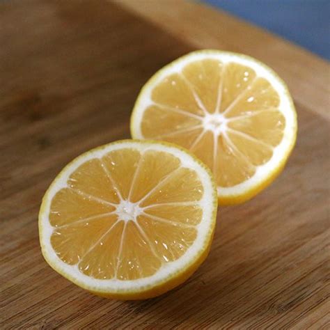 3-cocktails-made-better-with-meyer-lemons-food image
