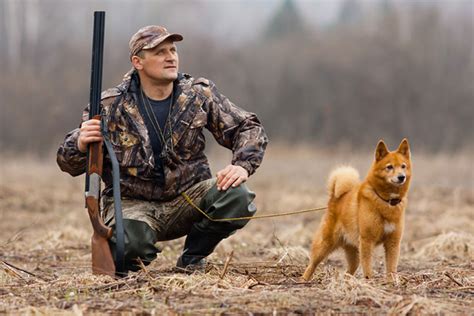 hunting-wild-game-for-your-dog-or-cat-with-instant-pot image