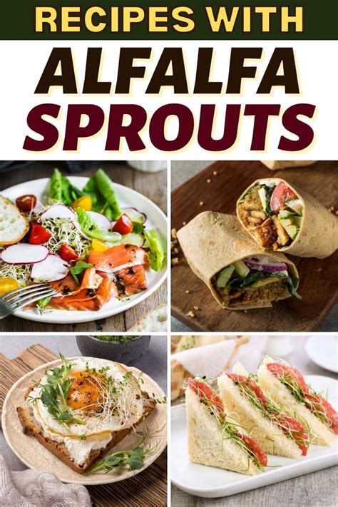 17-easy-recipes-with-alfalfa-sprouts-insanely-good image