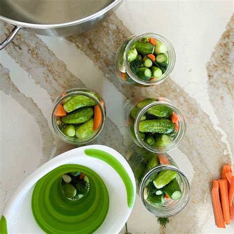 crunchy-old-fashioned-fermented-dill-pickles-with image