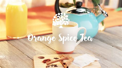 orange-spice-tea-florida-orange-juice image