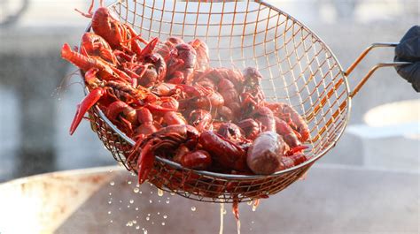10-traditional-cajun-dishes-you-need-to-try-in-louisiana image