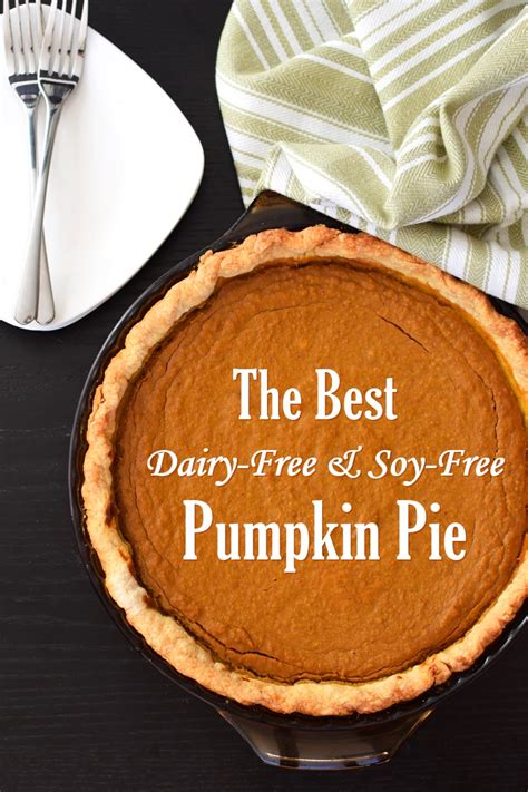 the-best-dairy-free-soy-free-pumpkin-pie image