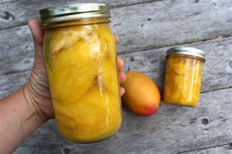 how-to-can-mango-practical-self-reliance image