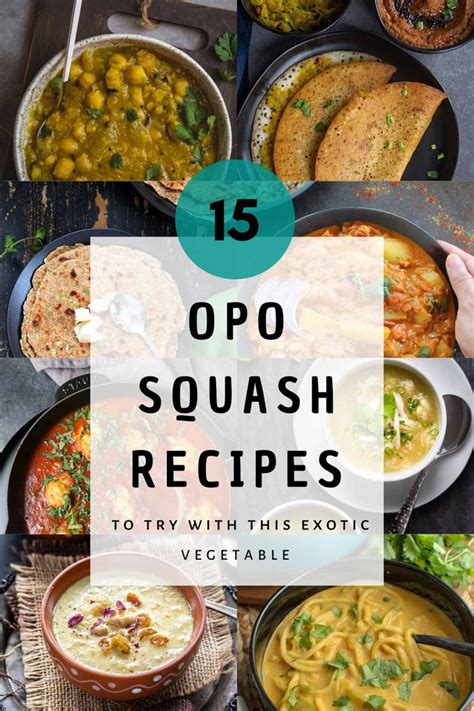 15-opo-squash-recipes-to-try-with-this-exotic-vegetable image