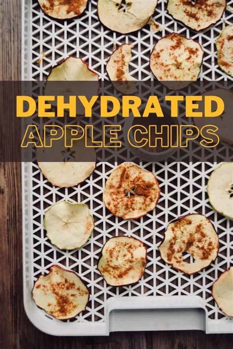 how-to-make-perfect-apple-chips-in-the-dehydrator image