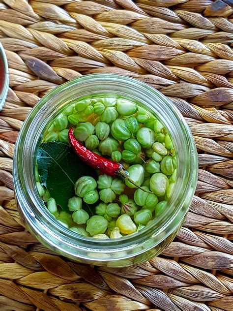 pickled-nasturtium-buds-shared-kitchen image