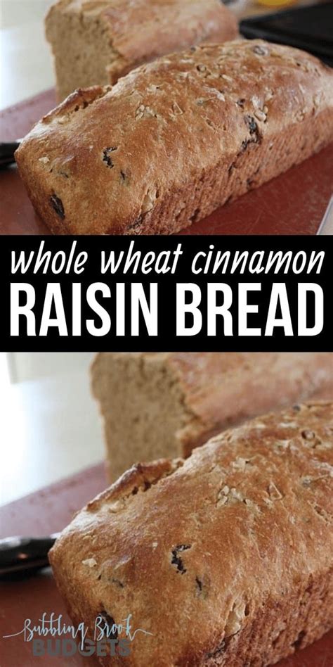 whole-wheat-cinnamon-raisin-walnut-bread-bubbling image