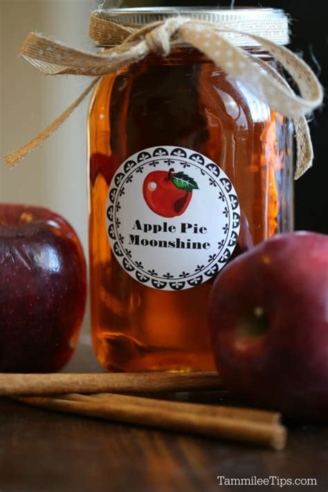 crock-pot-apple-pie-moonshine-recipe-tammilee-tips image