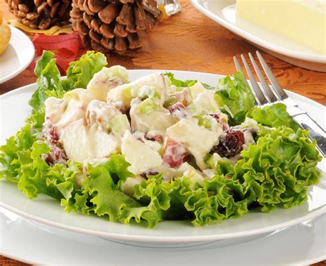 apple-waldorf-salad-recipe-with-sour-cream-daisy image