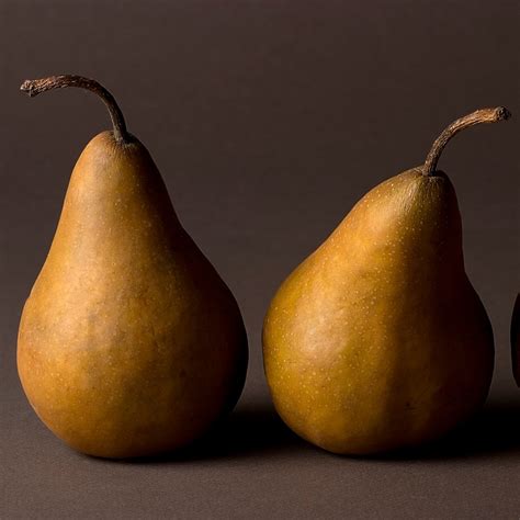7-types-of-pears-and-the-best-ways-to-eat-them-taste image