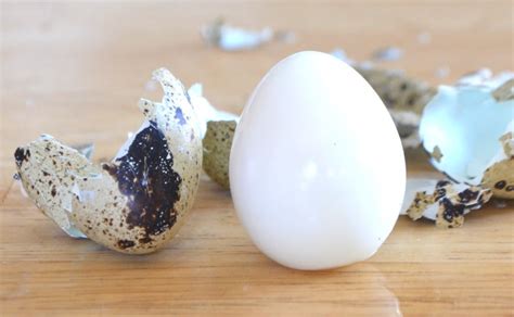 hard-boiled-quail-eggs-crafty-cooking-mama image
