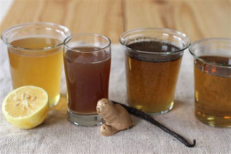 recipes-for-easy-ginger-vanilla-and-lemon-summer-soda image
