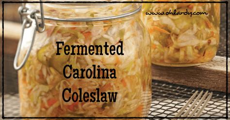 fermented-carolina-coleslaw-oh-lardy image