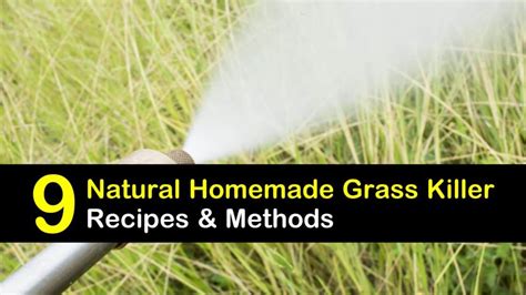 9-natural-homemade-grass-killer-recipes-methods image