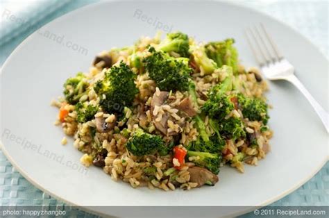 stir-fried-broccoli-rice-recipe-recipelandcom image