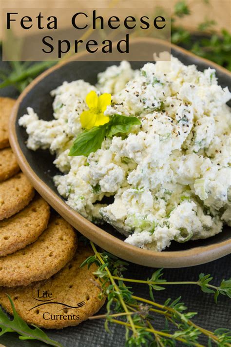 creamy-feta-cheese-spread-life-currents-appetizer image