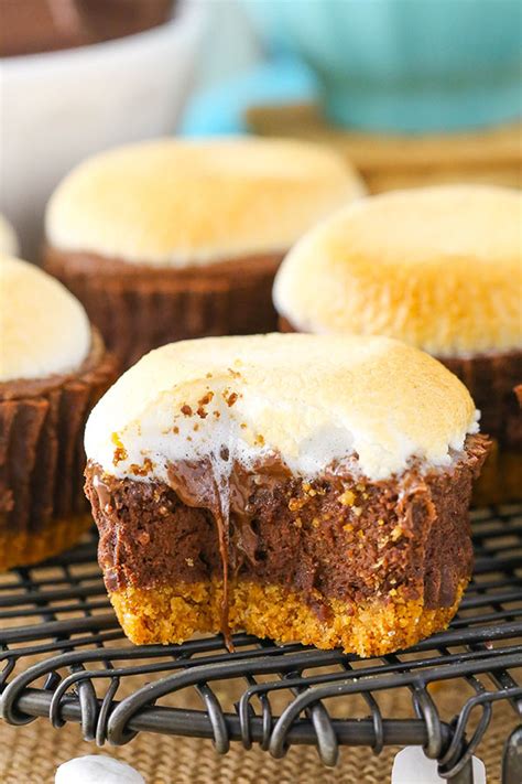 mini-smores-cheesecakes-easy-homemade-mini image