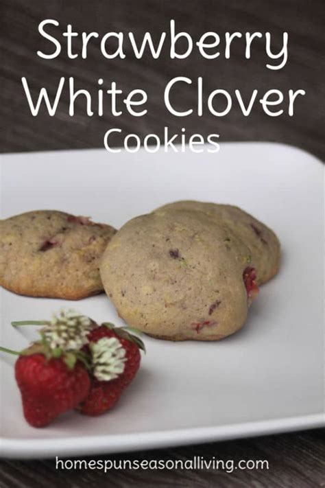 strawberry-white-clover-cookies-homespun-seasonal image