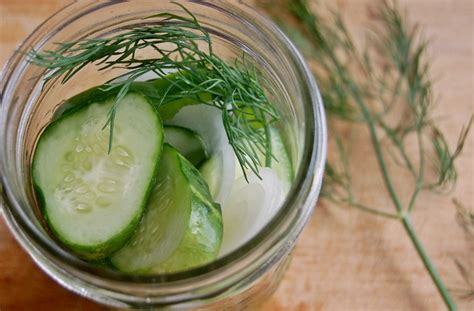 easy-sweet-refrigerator-pickles-recipe-new-england image