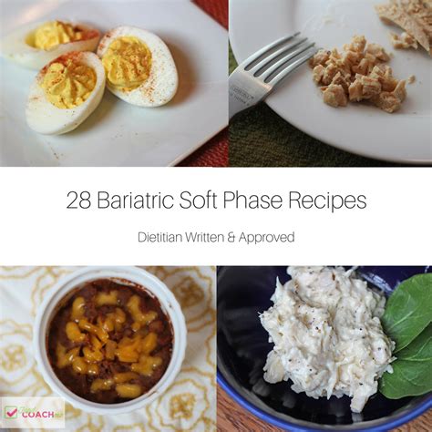 soft-and-pureed-recipes-after-bariatric-surgery image