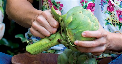how-to-prepare-artichokes-and-cook-them-irena image