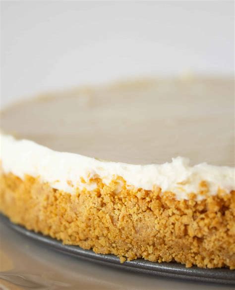 no-bake-smores-cheesecake-recipes-practically image