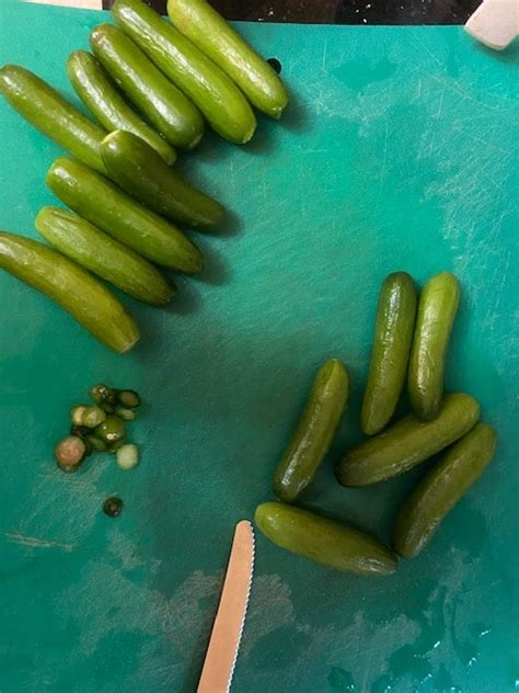 homemade-pickles-full-or-half-sour-kosher-from image