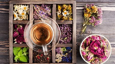 how-to-grow-a-tea-garden-and-10-herbs-to-plant image