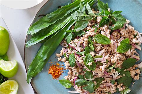 thai-larb-salad-larb-moo-asian-inspirations-asian image