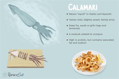 what-is-calamari-the-spruce-eats image