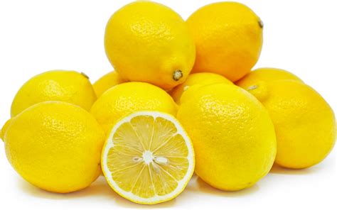 meyer-lemons-information-recipes-and-facts image