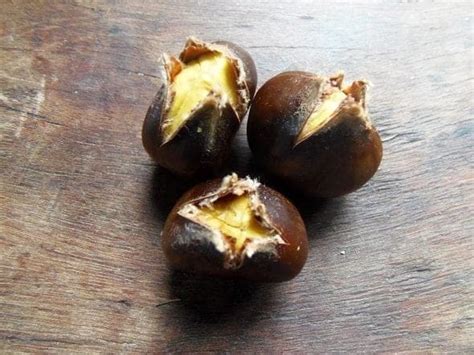 how-to-roast-chestnuts-in-the-microwave-my-frugal image
