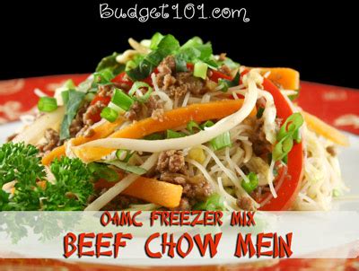 freezer-mix-chow-mein-oamc-fill-the-freezer image