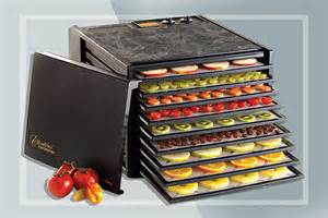 the-9-best-food-dehydrators-for-2022-according-to image