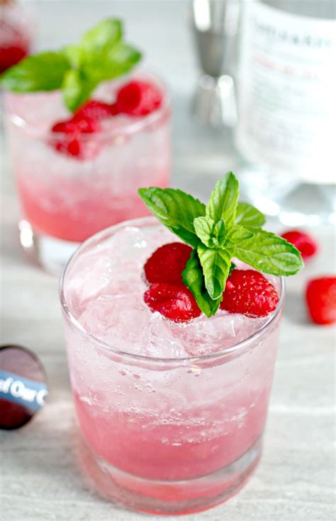 raspberry-gin-fizz-cocktail-recipe-mom-4-real image
