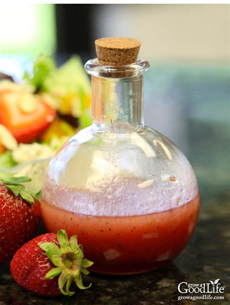 fresh-strawberry-vinaigrette-salad-dressing-grow-a image