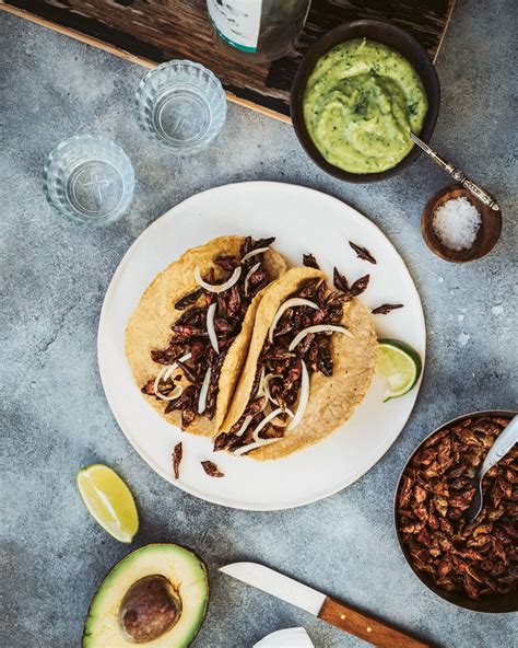 grasshopper-tacos-with-mezcal-tacos-de image