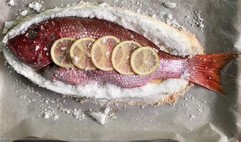 roasted-red-snapper-in-a-salt-dome-recipe-alton-brown image
