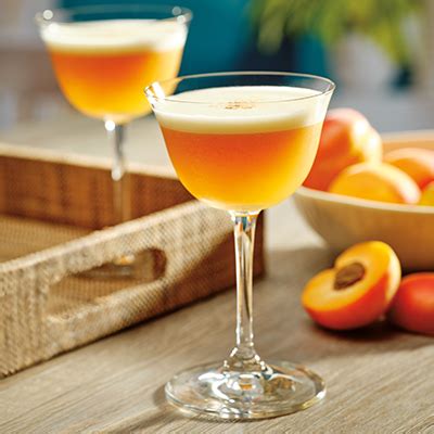 amaretto-apricot-brandy-sour-cocktail image