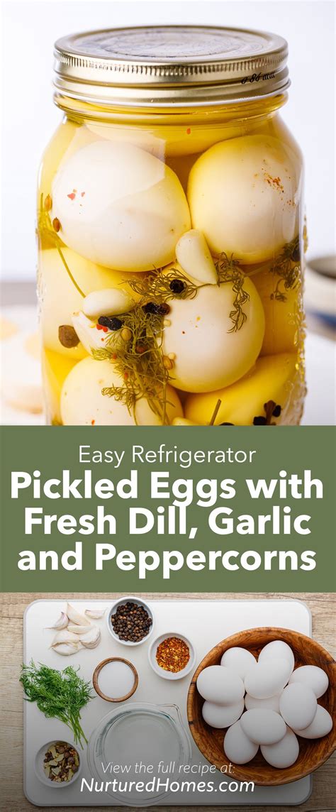 easy-refrigerator-pickled-eggs-with-fresh-dill-garlic-and image